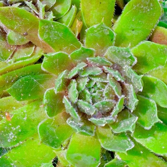 Meet your Posher, Kim - Picture 1 of 1